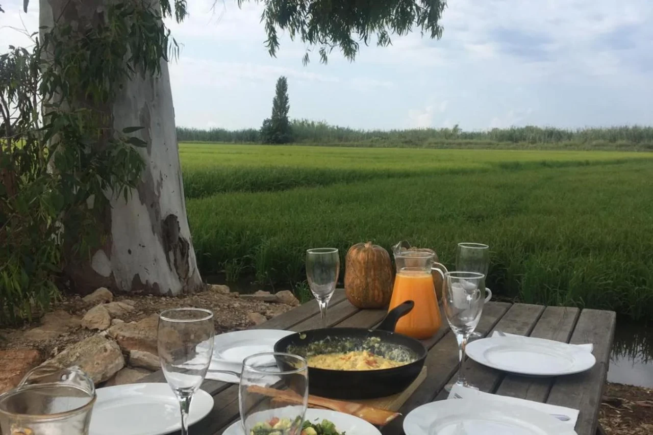 Experience the Charm of Mas dels Bonos in the Heart of the Spanish Countryside